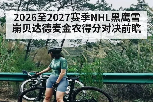 2026至2027赛季NHL黑鹰雪崩贝达德麦金农得分对决前瞻